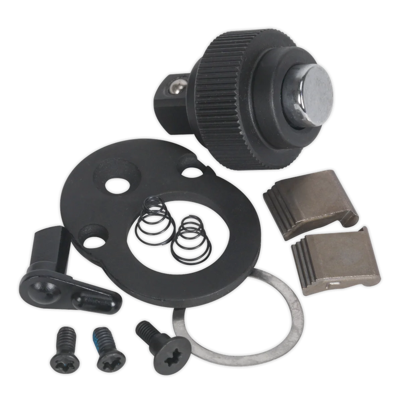 Sealey Premier Repair Kit AK966 1/4"Sq Drive