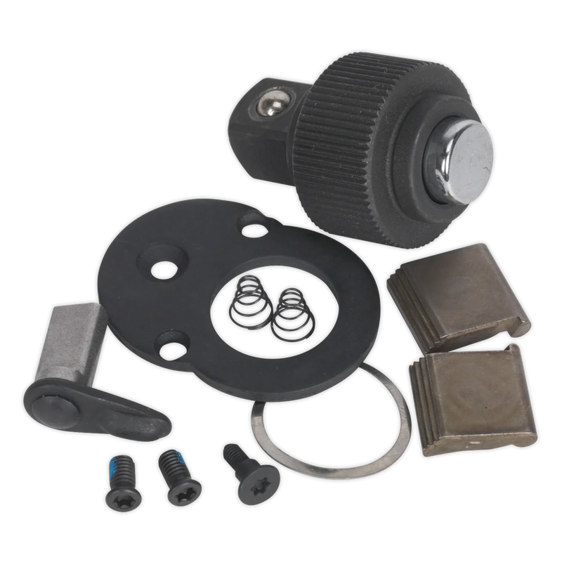 Sealey Premier Repair Kit AK967 3/8"Sq Drive for Ratchet Wrench
