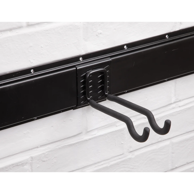 Sealey Sports Equipment Storage Hook APH06 20kg Capacity