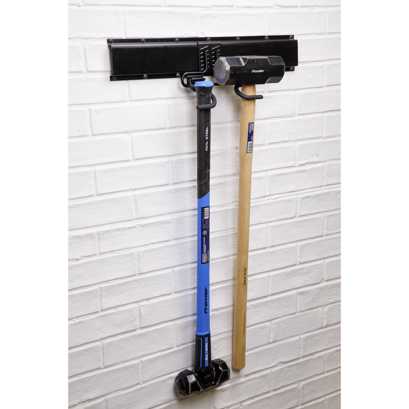 Sealey Double S Storage Hook APH08 25kg Capacity