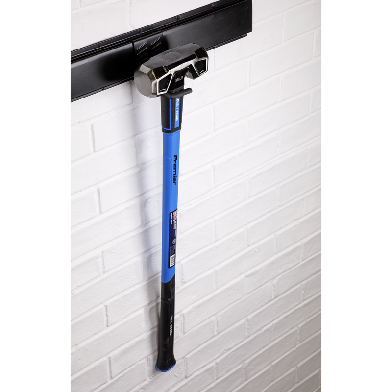 Sealey Single S Prong Storage Hook 30kg Capacity