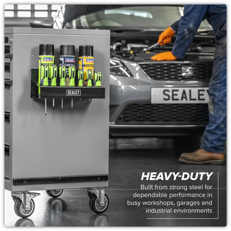 Sealey Magnetic Spray Can/Screwdriver Holder APMCH 1.38kg