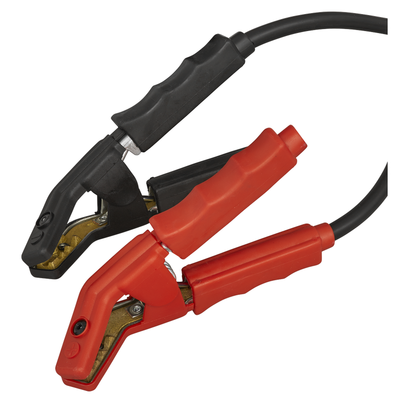 Sealey 12V Battery Support Unit & Charger BSCU170 100A
