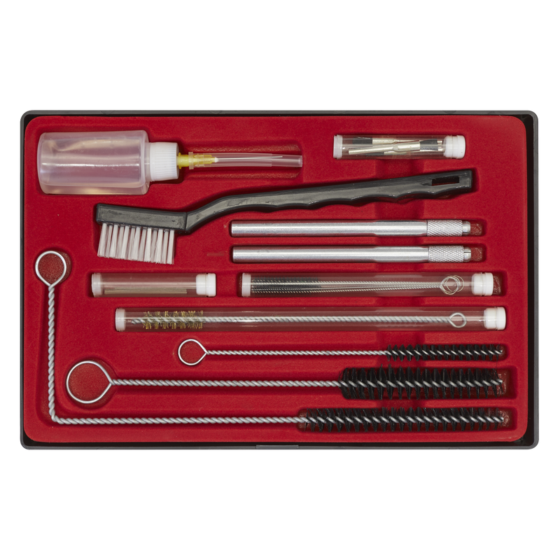 Sealey Spray Gun Cleaning Set 22 Piece Model BSGC5