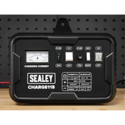 Sealey 12/24V Battery Charger CHARGE115 19A 230V