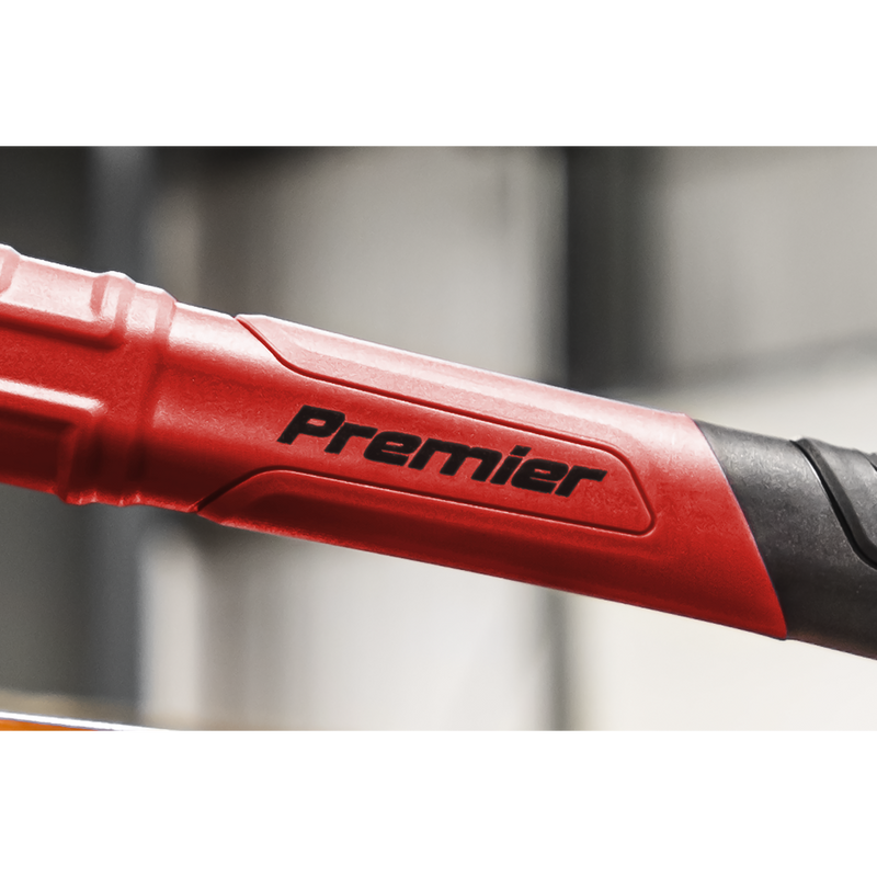 Sealey Premier Dead Blow Hammer 2.8lb Model DBH02