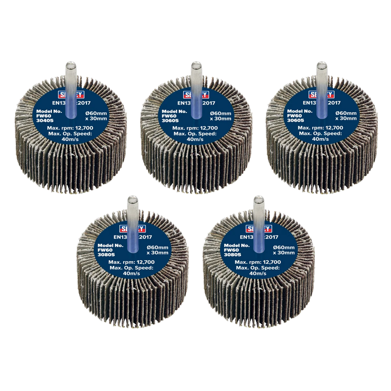 Sealey Abrasive Flap Wheel 60mm x 30mm 6mm Shaft Assorted Grit Pack of 5