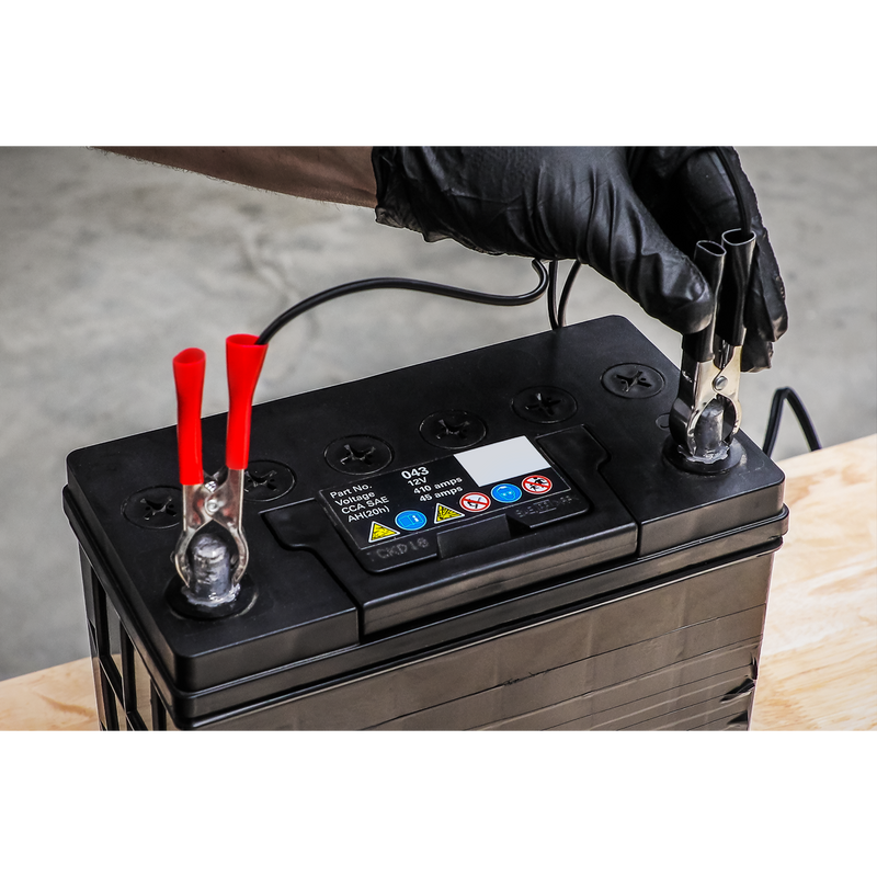 Sealey 6/12V 4 Bank Auto Maintenance Charger MBC420 8A