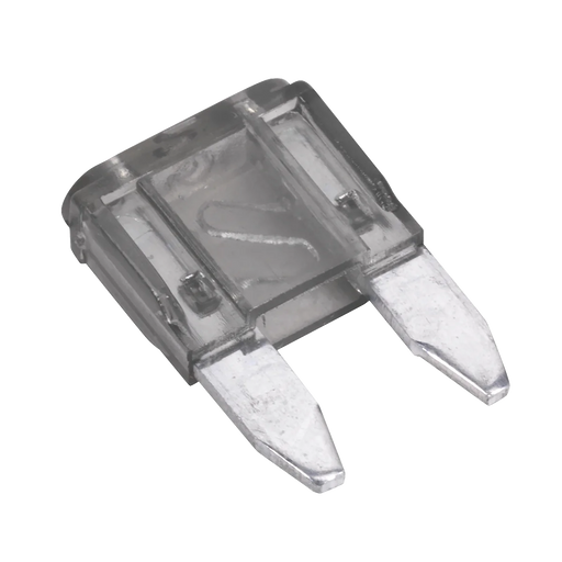 Sealey Automotive MINI Blade Fuse 2A - Pack of 50