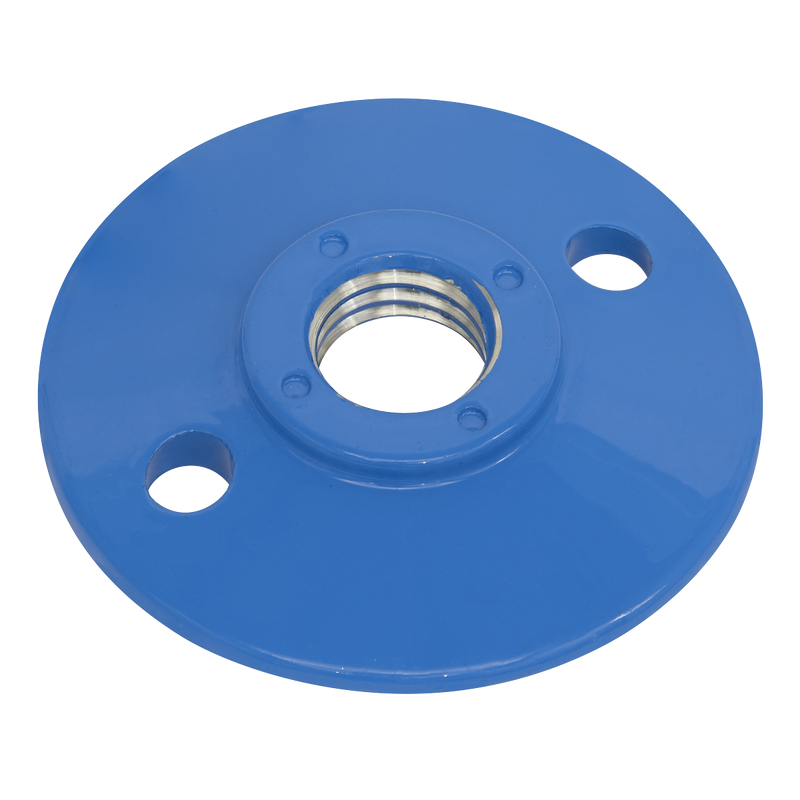 Sealey PTC/BP4/NUT M14 x 2mm Pad Nut