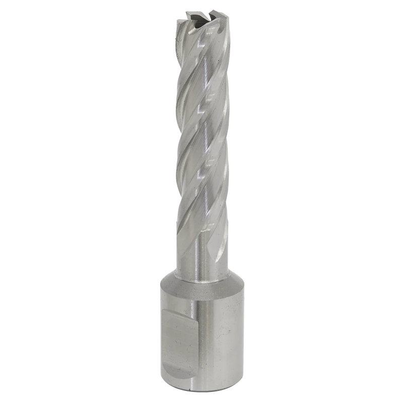 Worksafe 12mm HSS Mag Drill Bit 50mm Cut Depth