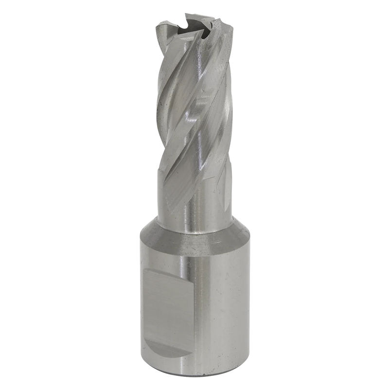 Worksafe 12mm HSS Mag Drill Bit - Cut Depth 25mm