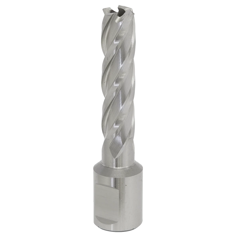 Worksafe 12mm HSS Mag Drill Bit 50mm Cut Depth