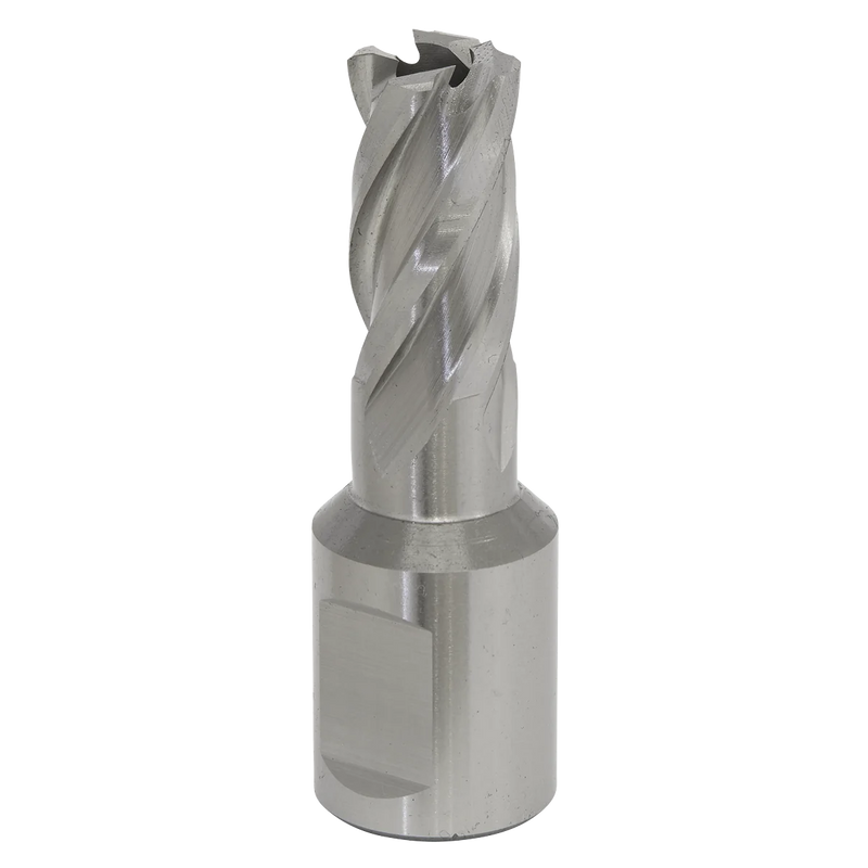 Worksafe 12mm HSS Mag Drill Bit - Cut Depth 25mm