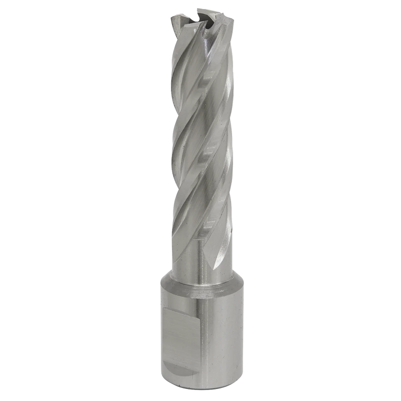 Worksafe 12mm HSS Mag Drill Bit 50mm Cut Depth