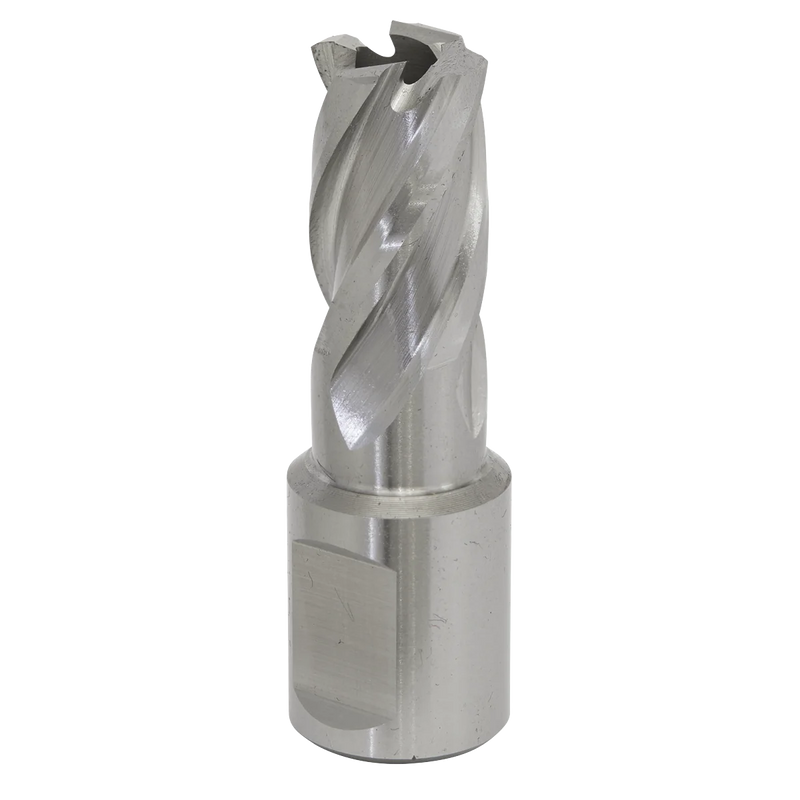Worksafe 12mm HSS Mag Drill Bit - Cut Depth 25mm