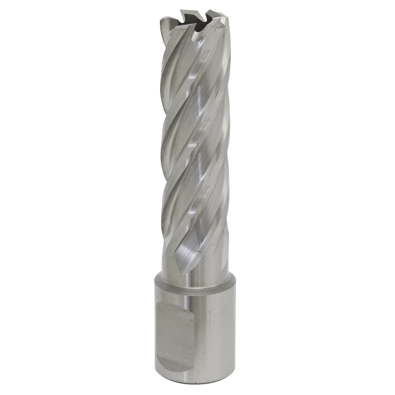 Worksafe 12mm HSS Mag Drill Bit 50mm Cut Depth
