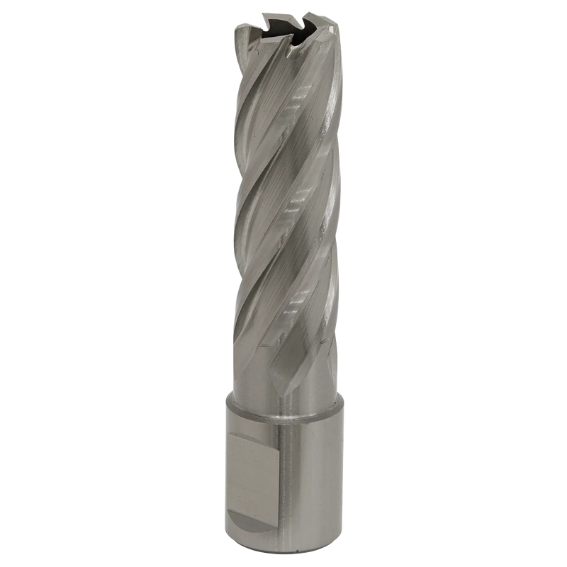 Worksafe 12mm HSS Mag Drill Bit 50mm Cut Depth