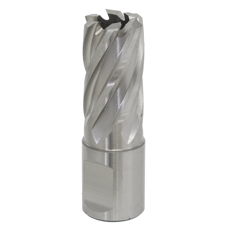 Worksafe 12mm HSS Mag Drill Bit - Cut Depth 25mm
