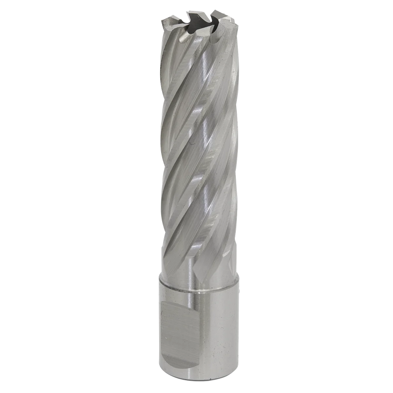 Worksafe 12mm HSS Mag Drill Bit 50mm Cut Depth