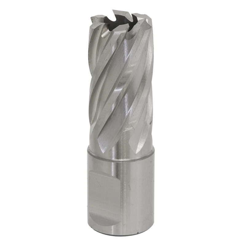 Worksafe 12mm HSS Mag Drill Bit - Cut Depth 25mm