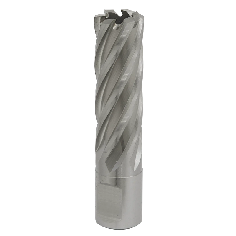 Worksafe 12mm HSS Mag Drill Bit 50mm Cut Depth