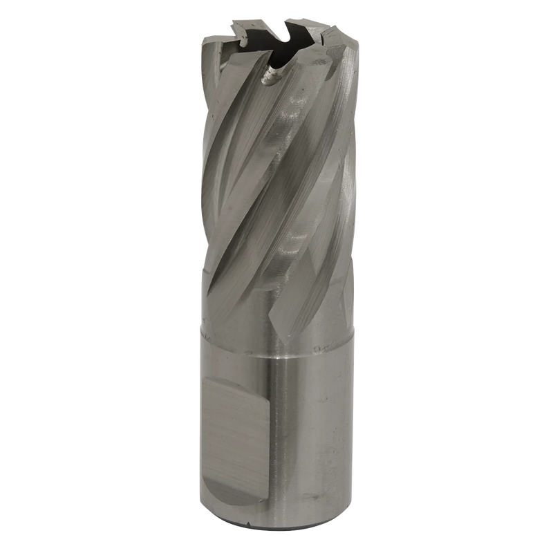 Worksafe 12mm HSS Mag Drill Bit - Cut Depth 25mm