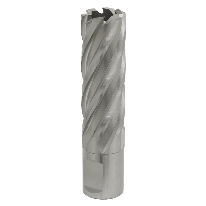 Worksafe 12mm HSS Mag Drill Bit 50mm Cut Depth