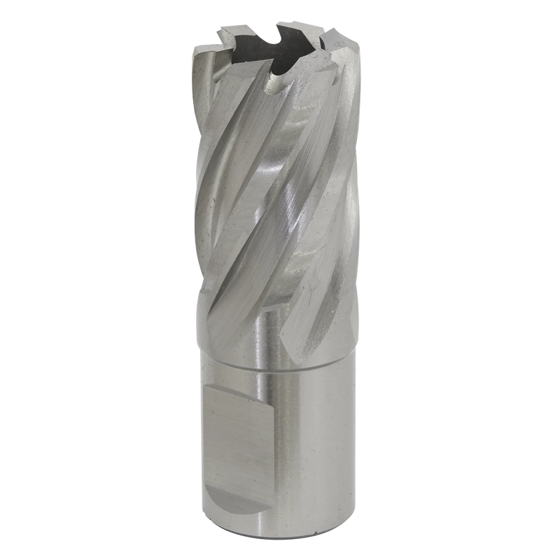 Worksafe 12mm HSS Mag Drill Bit - Cut Depth 25mm