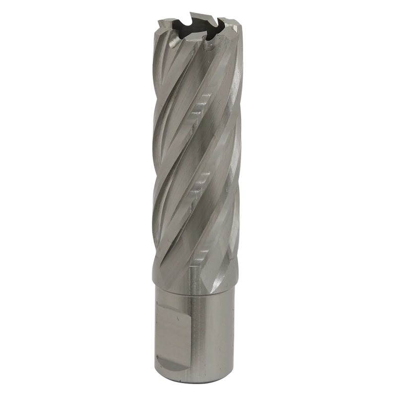 Worksafe 12mm HSS Mag Drill Bit 50mm Cut Depth