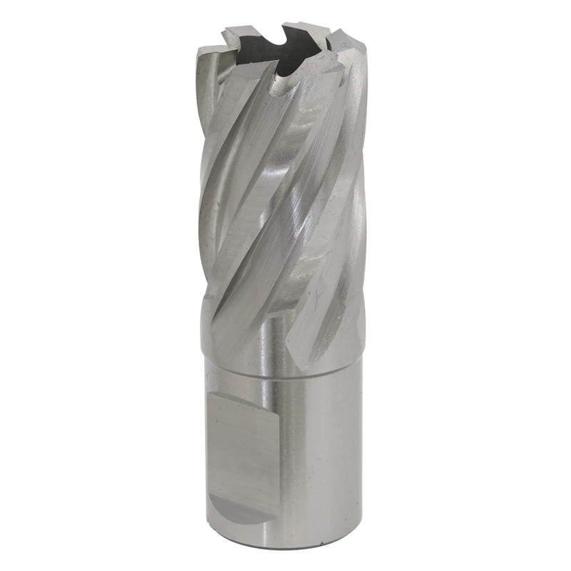 Worksafe 12mm HSS Mag Drill Bit - Cut Depth 25mm