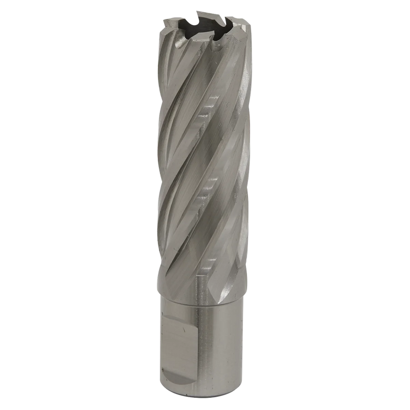 Worksafe 12mm HSS Mag Drill Bit 50mm Cut Depth