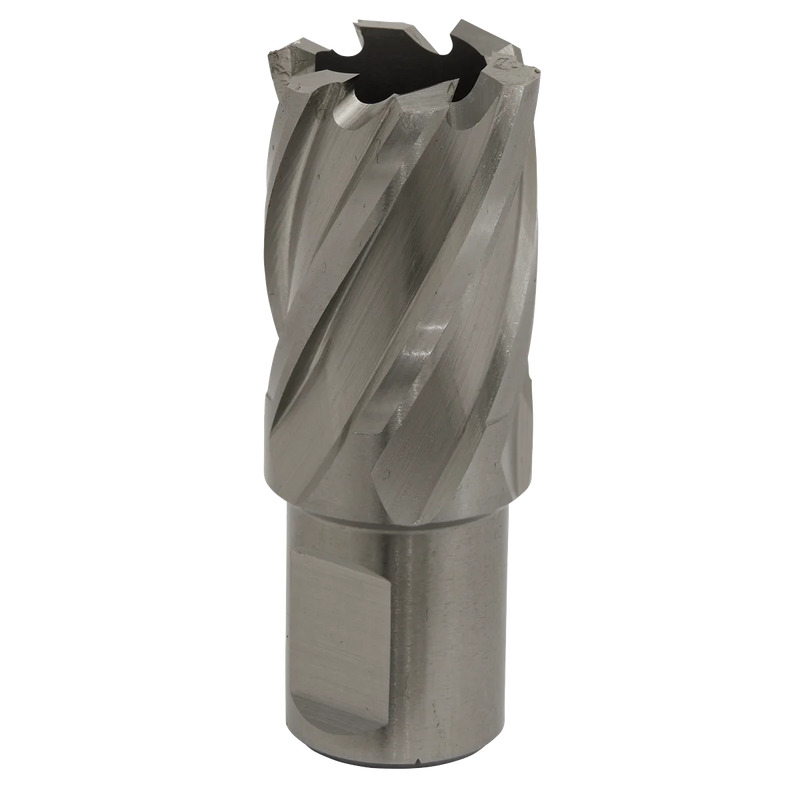 Worksafe 12mm HSS Mag Drill Bit - Cut Depth 25mm