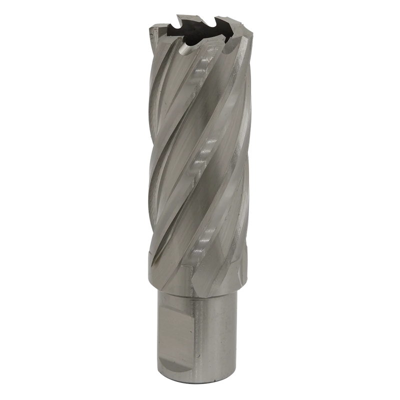 Worksafe 12mm HSS Mag Drill Bit 50mm Cut Depth