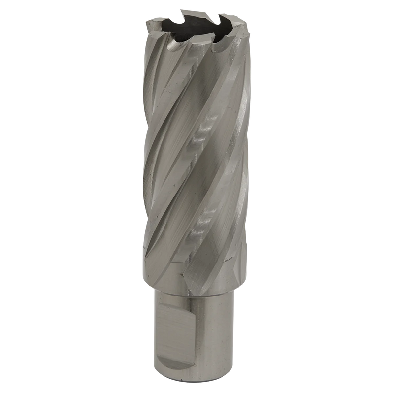 Worksafe 12mm HSS Mag Drill Bit 50mm Cut Depth