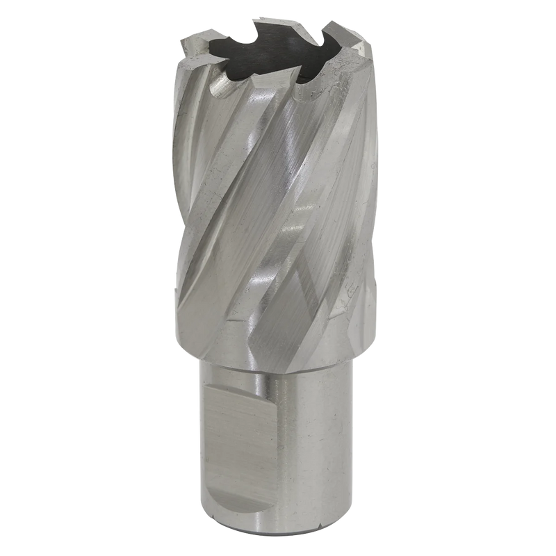 Worksafe 12mm HSS Mag Drill Bit - Cut Depth 25mm