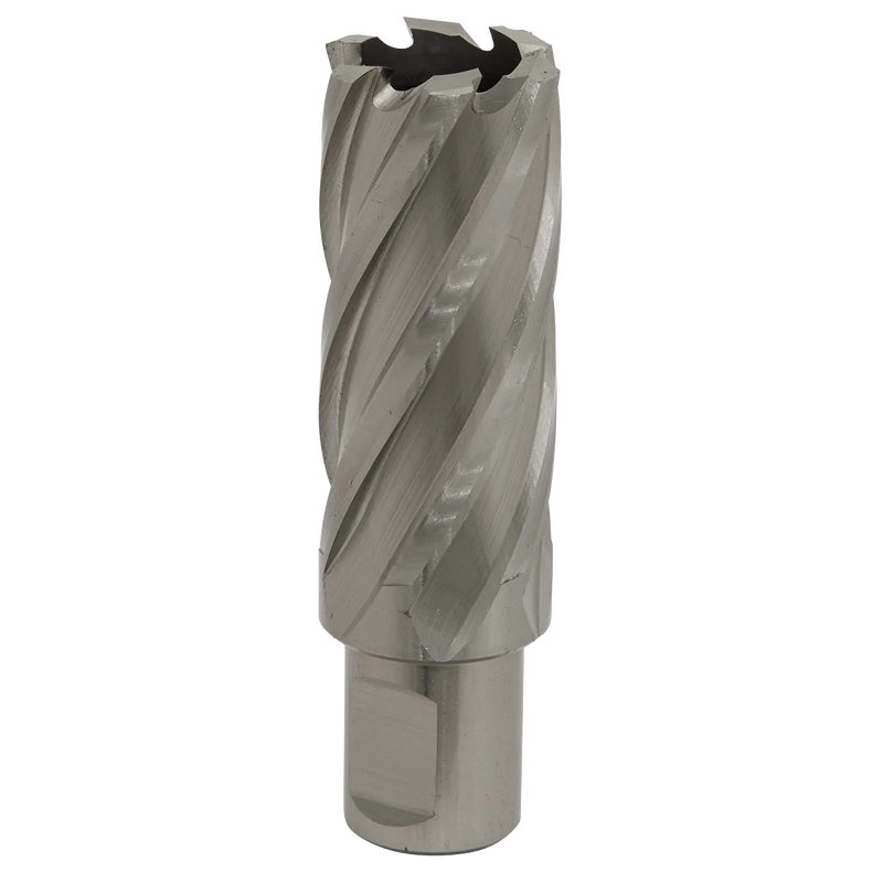 Worksafe 12mm HSS Mag Drill Bit 50mm Cut Depth