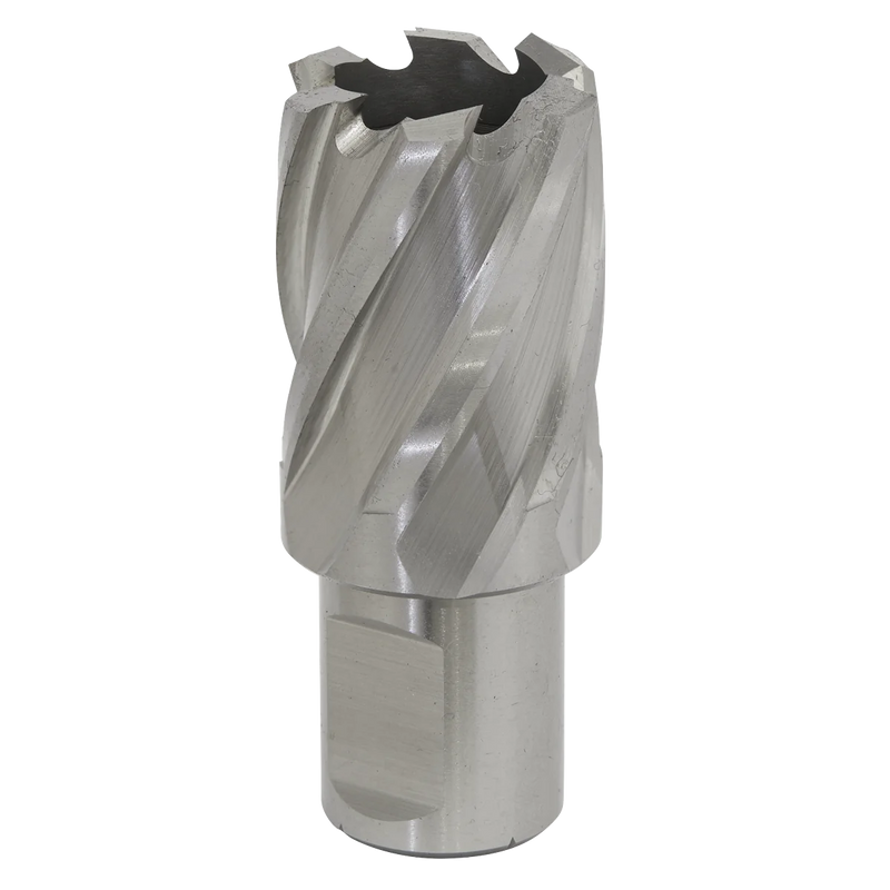 Worksafe 12mm HSS Mag Drill Bit - Cut Depth 25mm