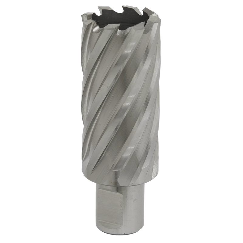 Worksafe 12mm HSS Mag Drill Bit 50mm Cut Depth