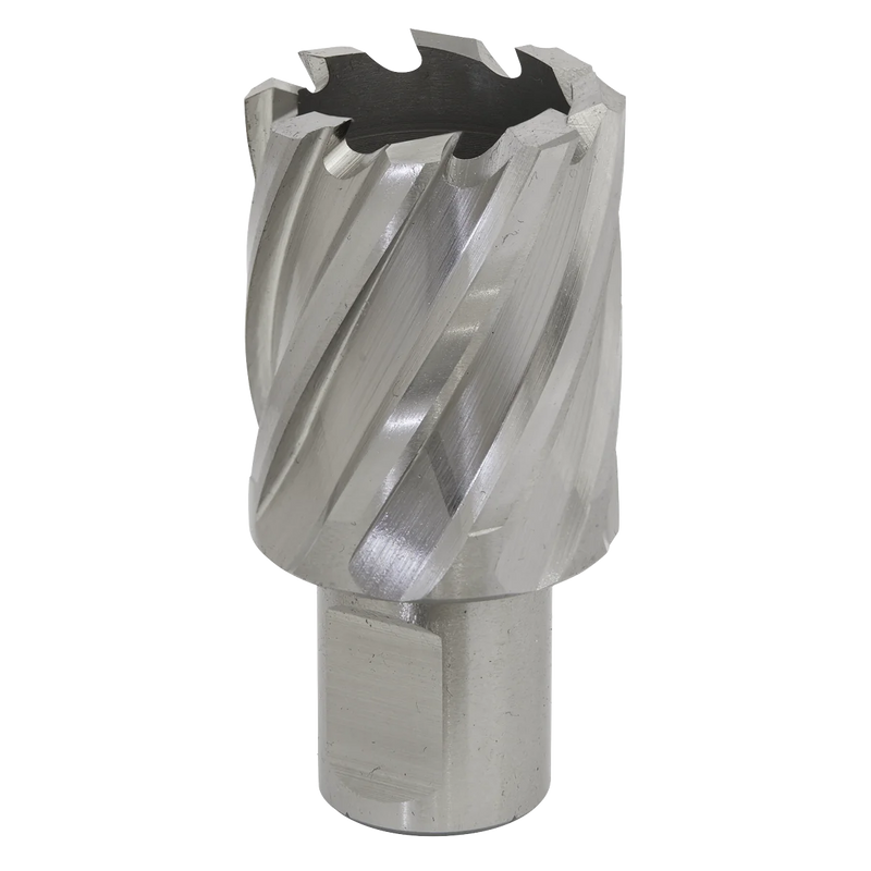 Worksafe 12mm HSS Mag Drill Bit - Cut Depth 25mm