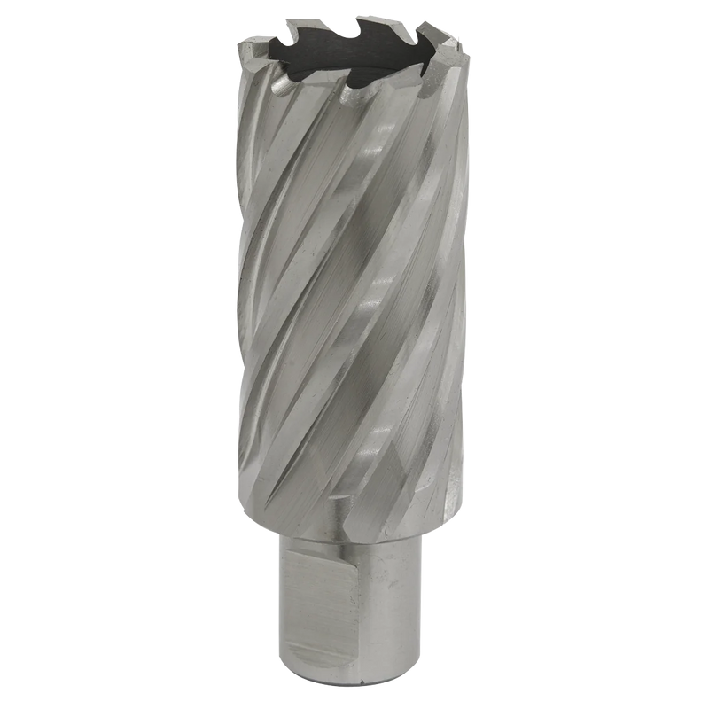 Worksafe 12mm HSS Mag Drill Bit 50mm Cut Depth