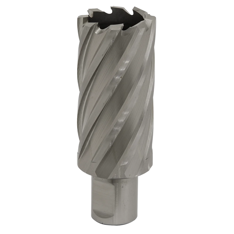 Worksafe 12mm HSS Mag Drill Bit 50mm Cut Depth