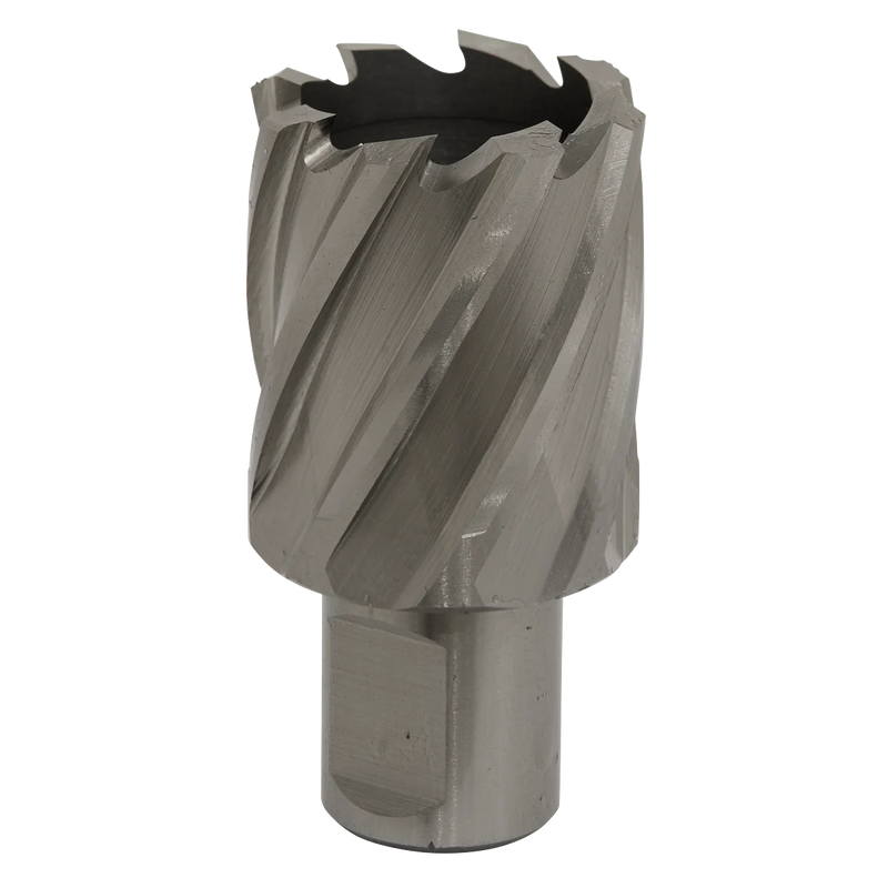 Worksafe 12mm HSS Mag Drill Bit - Cut Depth 25mm