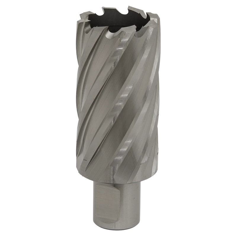 Worksafe 12mm HSS Mag Drill Bit 50mm Cut Depth