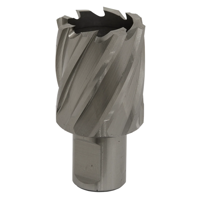 Worksafe 12mm HSS Mag Drill Bit - Cut Depth 25mm