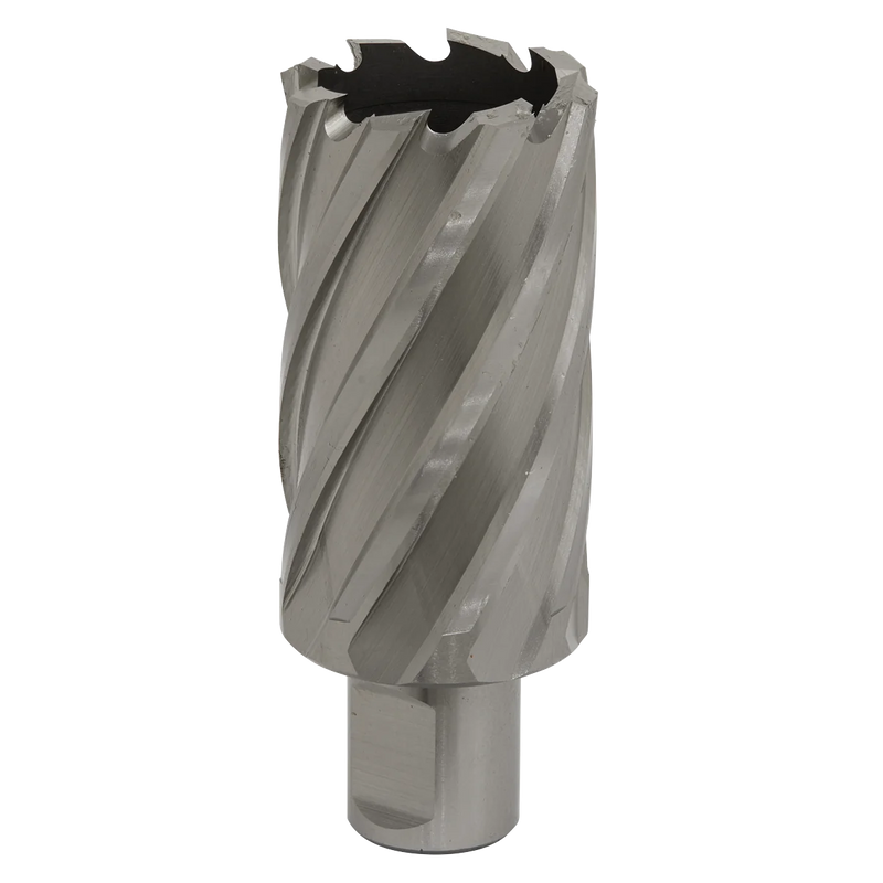 Worksafe 12mm HSS Mag Drill Bit 50mm Cut Depth