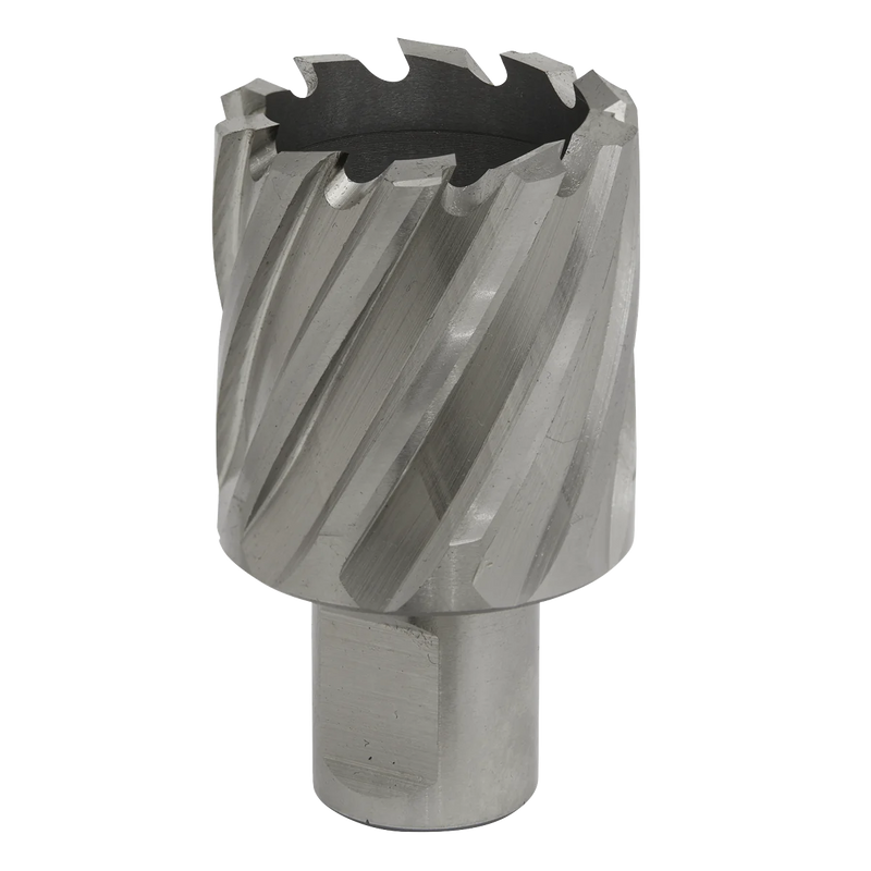 Worksafe 34mm HSS Mag Drill Bit - Cut Depth 25mm