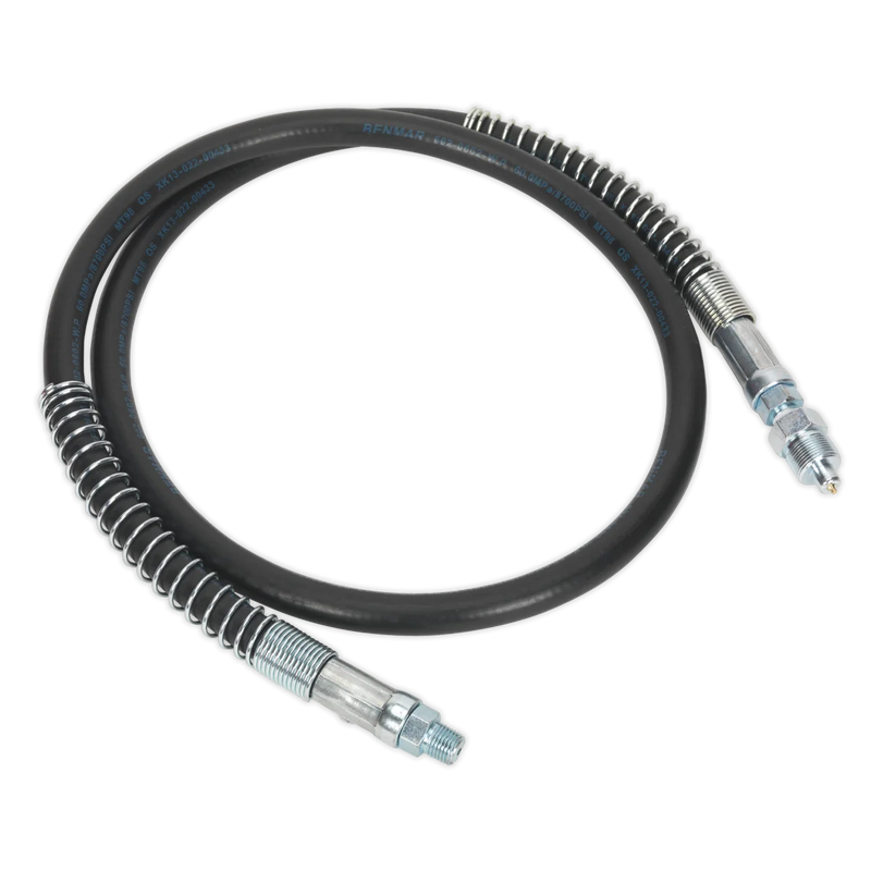 Sealey Hose Assembly 1540mm with 1/4" BSPT Inlet Thread