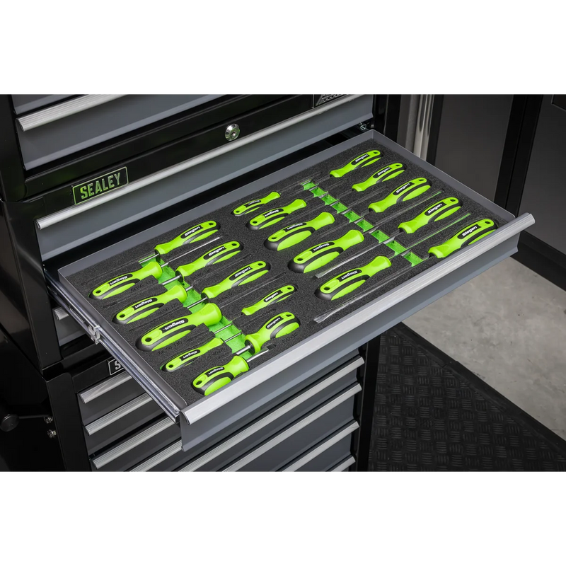 Sealey Siegen Screwdriver Set 20 Piece with Tool Tray S01276