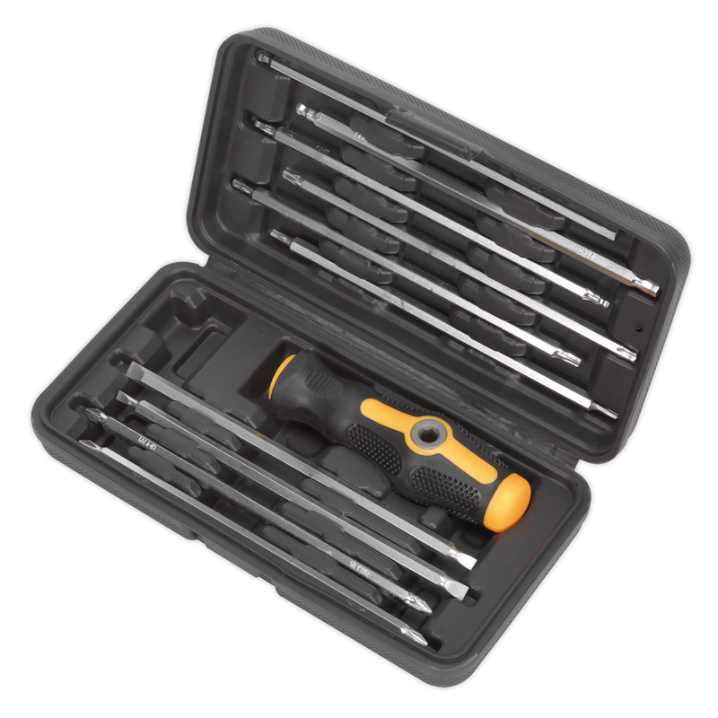 Sealey Siegen 20-in-1 Screwdriver Set S0777 with Storage Case